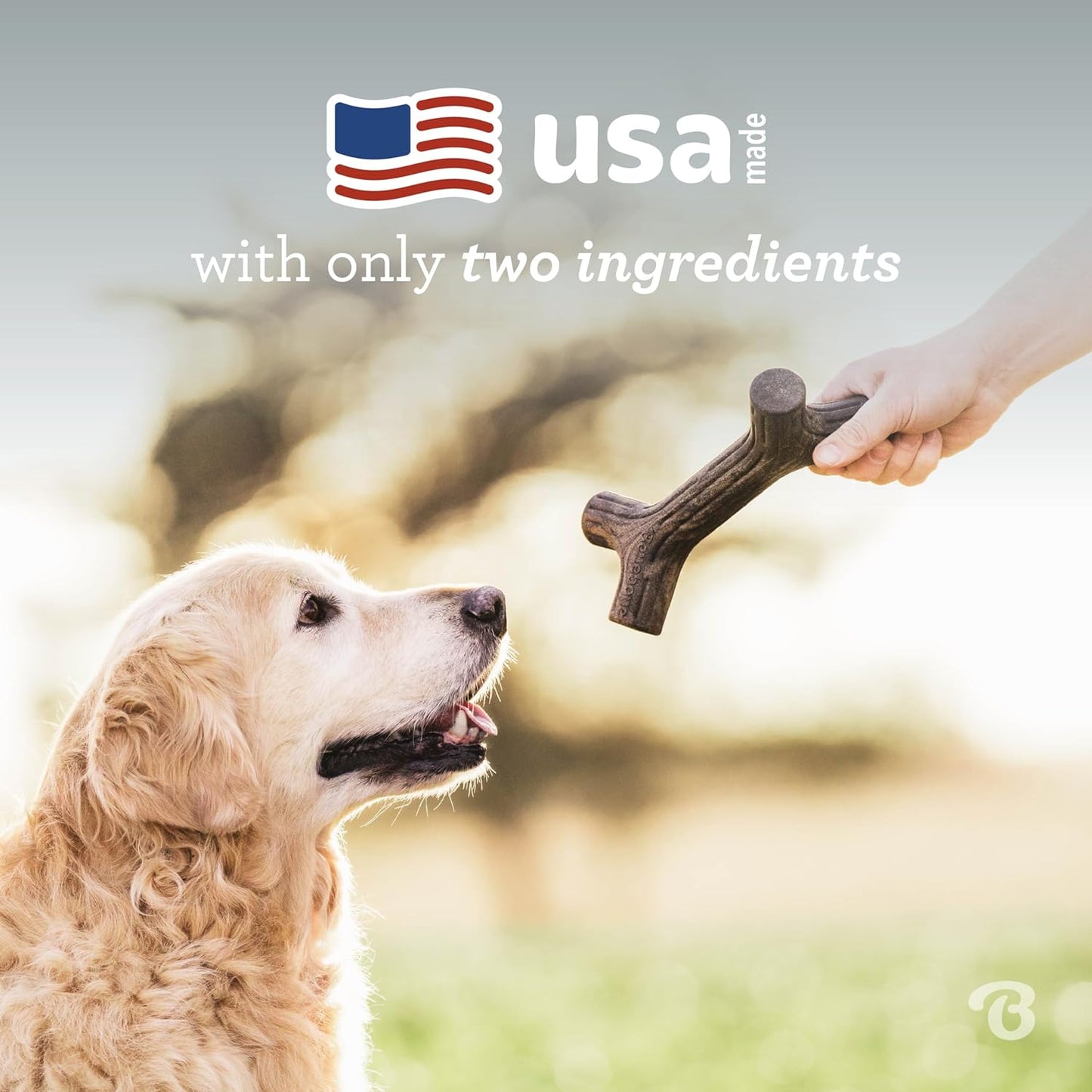 Maplestick Durable Dog Chew Toy for Aggressive Chewers, Real Maplewood, Made in USA, Medium