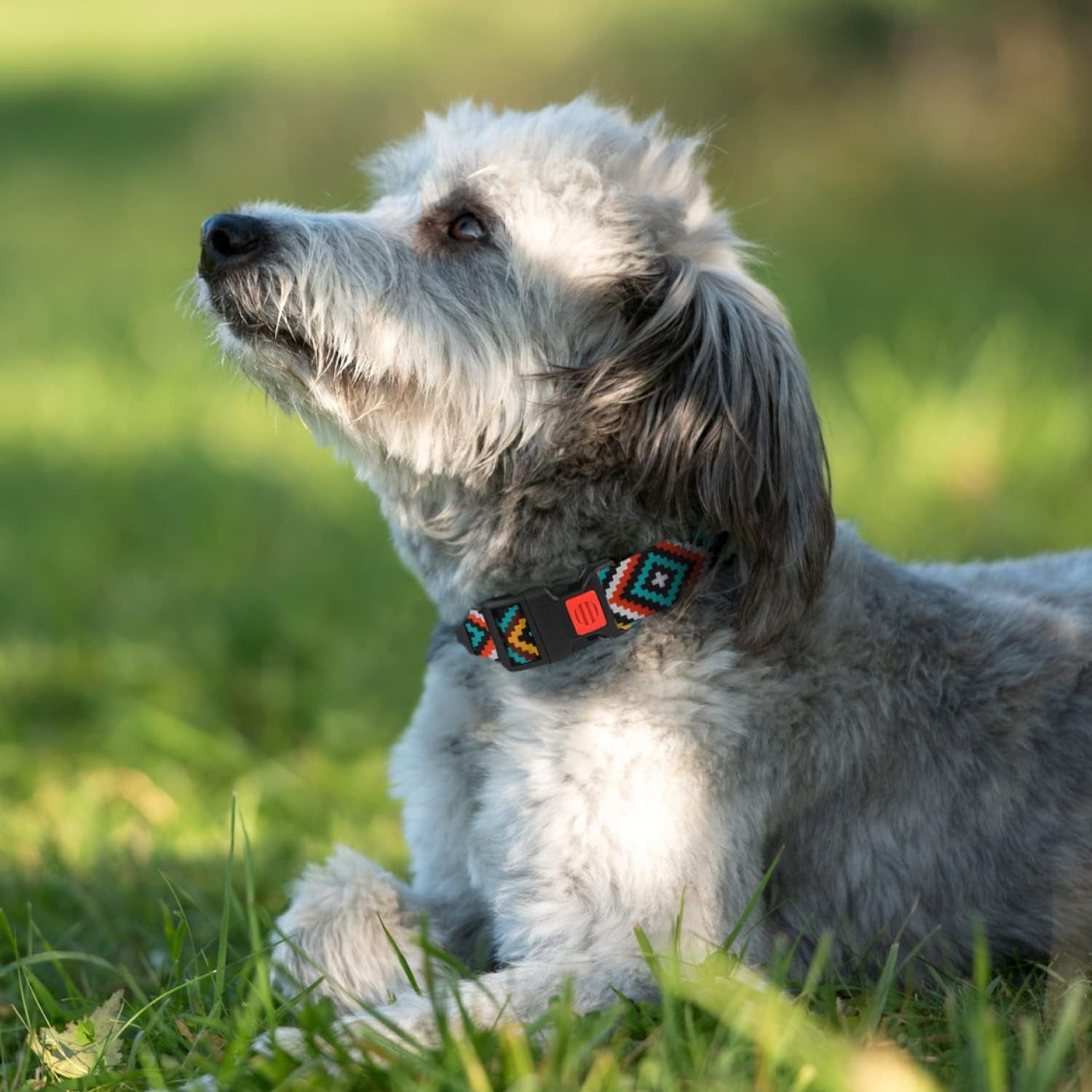 Purple Geometric Dog Collar, Pet Collar for Small Medium Large Dogs or Puppies with Quick Release Buckle, Yellow Orange Pattern, Adjustable Nylon (Teal, Neck Fit 12"-16")
